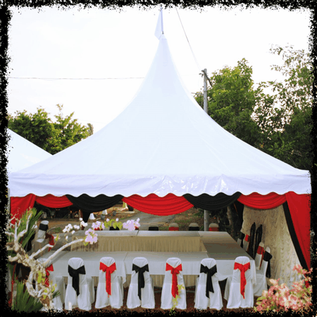 canopy